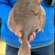 Catching Plaice off Brixham