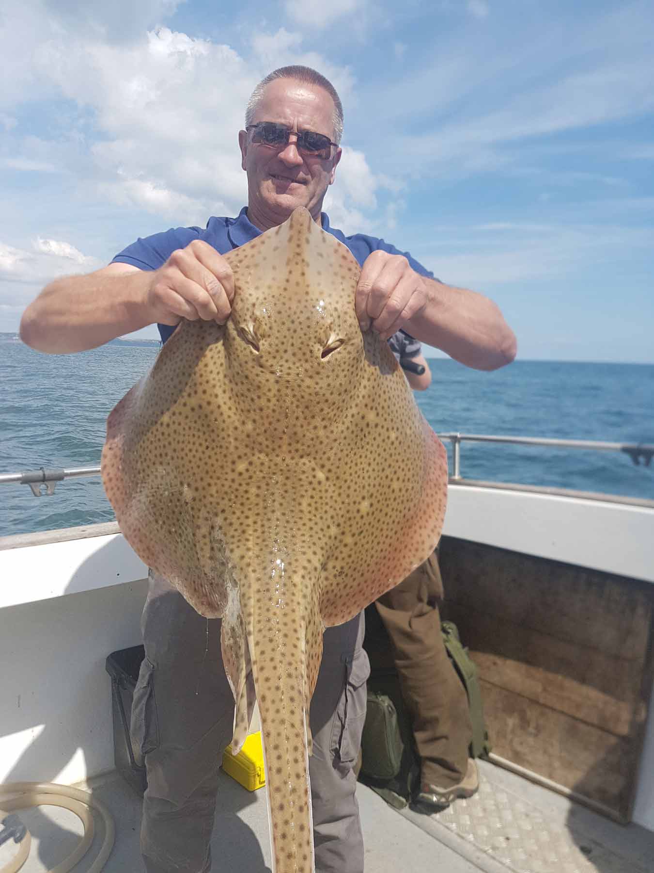 Monster Catch Brixham
