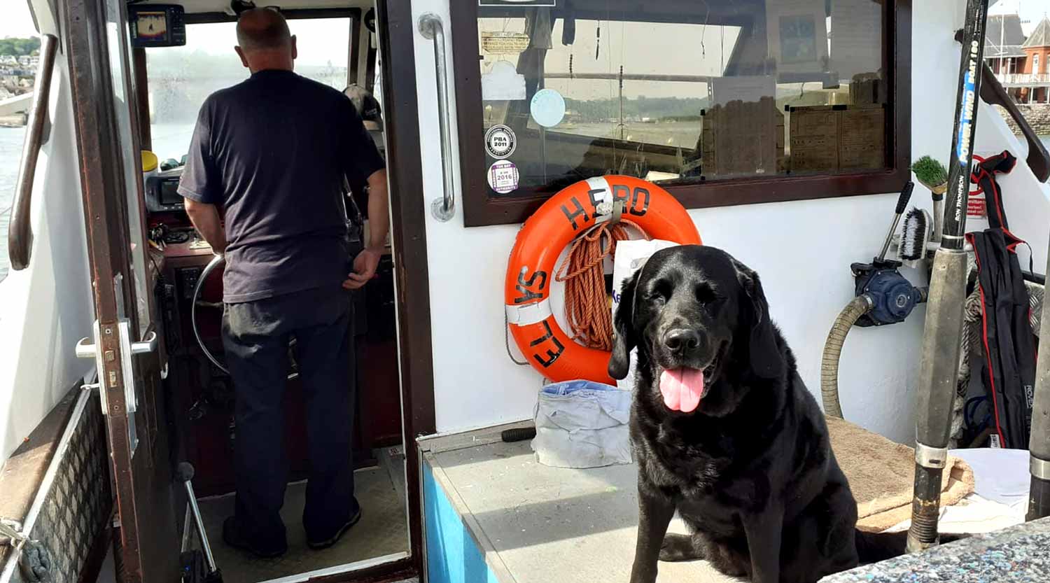 Kelly's Hero meet Penny