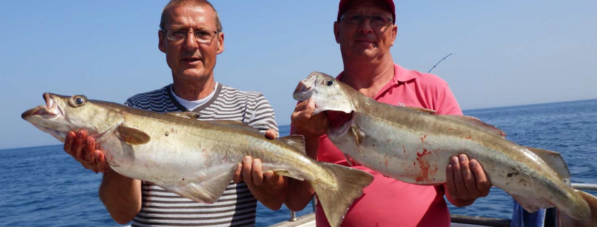 Fishing Pollack in Brixham