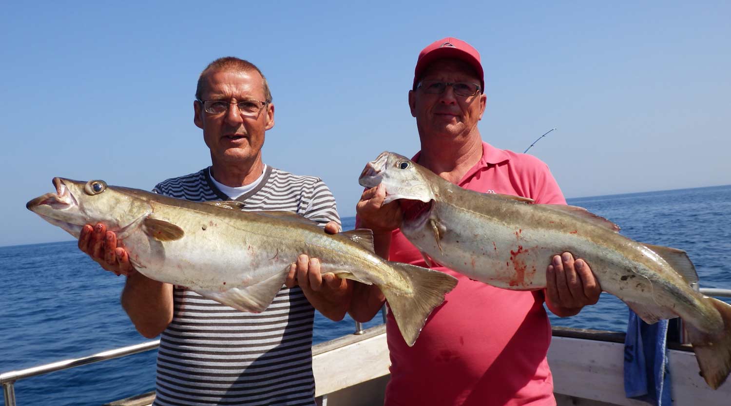 Fishing Pollack in Brixham