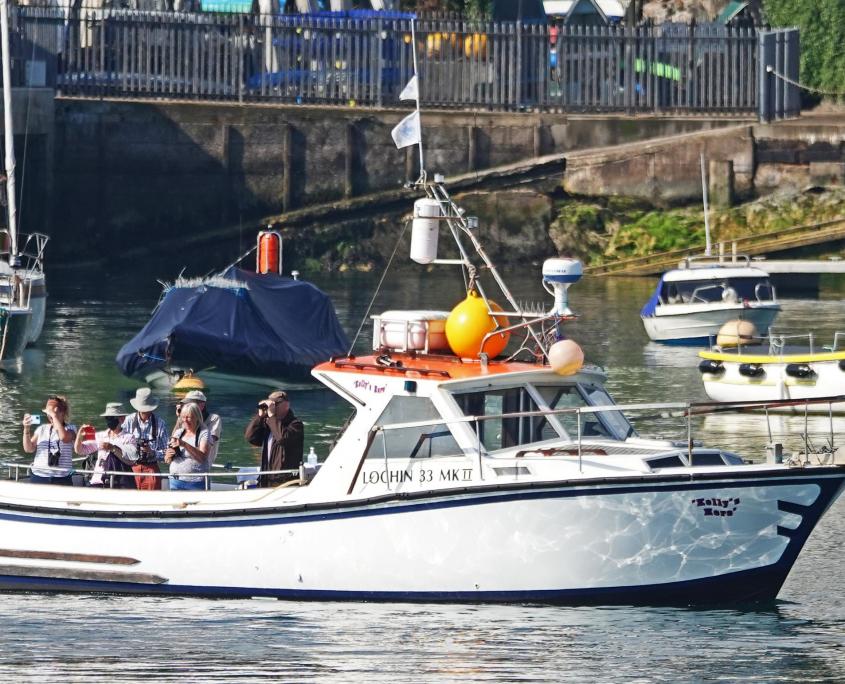 Bird Watching Boat Trip